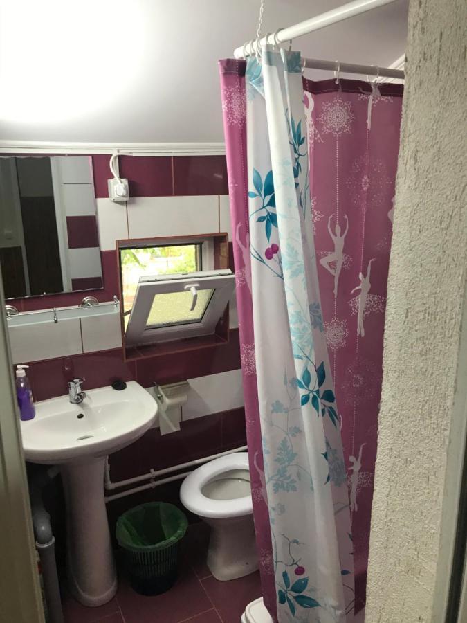 Casa Radu Otel Tulça Dış mekan fotoğraf