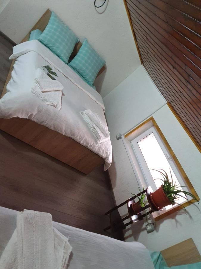 Casa Radu Otel Tulça Dış mekan fotoğraf