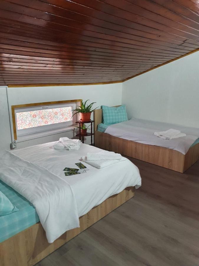 Casa Radu Otel Tulça Dış mekan fotoğraf
